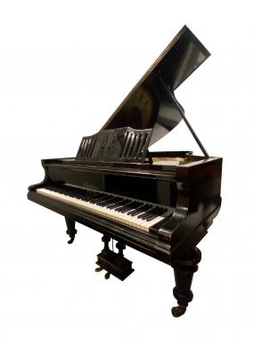 Gebrauchter Flügel der Marke BLÜTHNER - pia nola